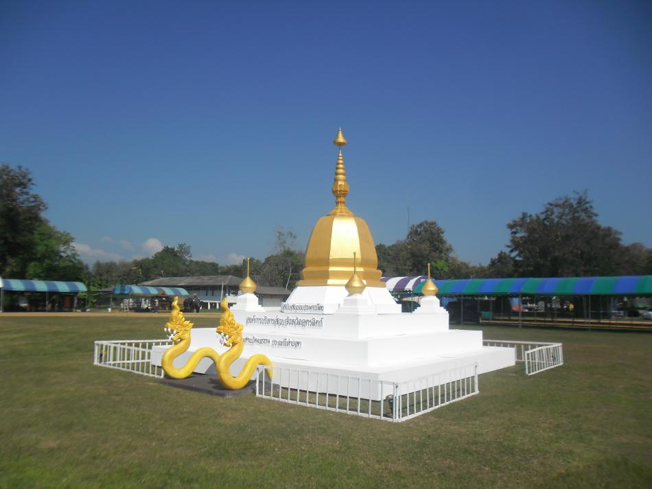 ร่วมงาน"งานสืบสานวัฒนธรรมและของดีอำเภอท่าปลา 21-23 พ.ย.2557 (13 ภาพ)